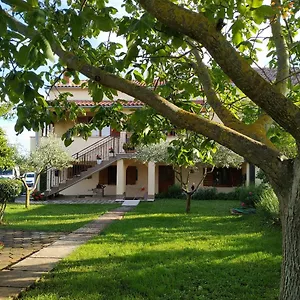 Dado Apartment